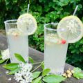 sommerdrink med hyldeblomst og gin